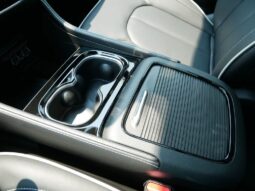 
 Chrysler Pacifica full									