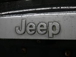 
 Jeep Grand Cherokee full									
