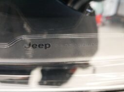 
 Jeep Wagoneer full									