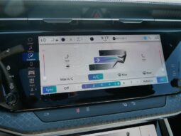 
 Jeep Wagoneer S full									