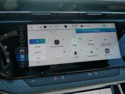 
 Jeep Wagoneer S full									