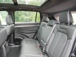 
 Jeep Wagoneer S full									