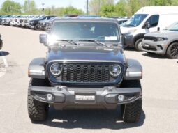 
 Jeep Wrangler full									