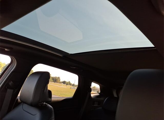 
 Kia Sportage full									