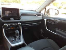 
 Toyota RAV4 Hybrid full									