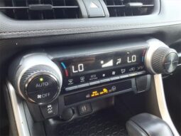 
 Toyota RAV4 Hybrid full									