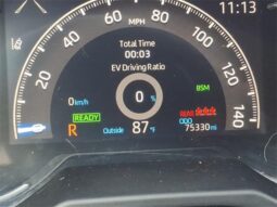 
 Toyota RAV4 Hybrid full									
