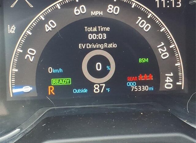 
 Toyota RAV4 Hybrid full									