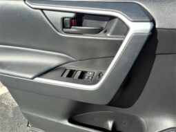 
 Toyota RAV4 Hybrid full									