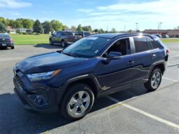 
 Toyota RAV4 full									