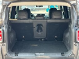 
 Jeep Renegade full									