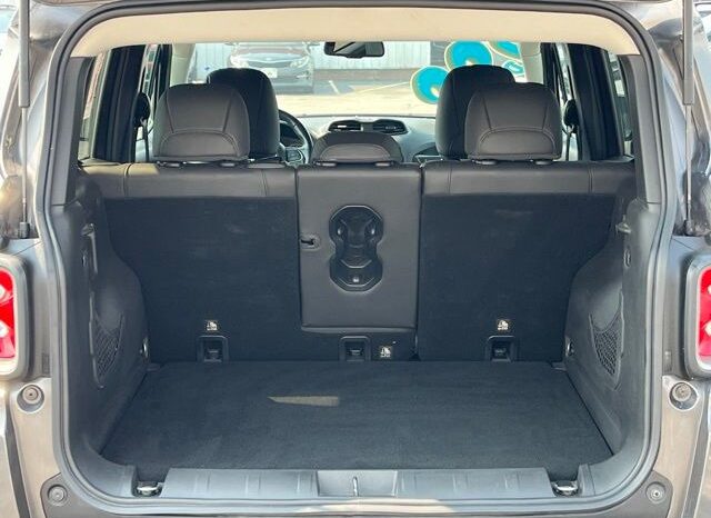 
 Jeep Renegade full									