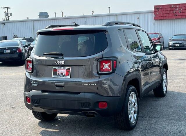 
 Jeep Renegade full									