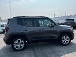 
 Jeep Renegade full									