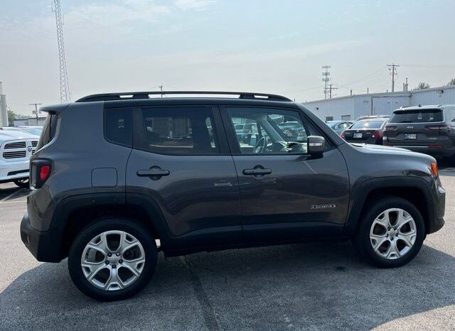 
 Jeep Renegade full									
