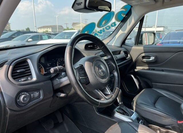 
 Jeep Renegade full									