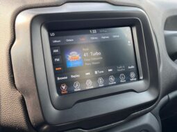 
 Jeep Renegade full									