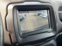 
 Jeep Renegade full									