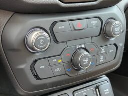 
 Jeep Renegade full									