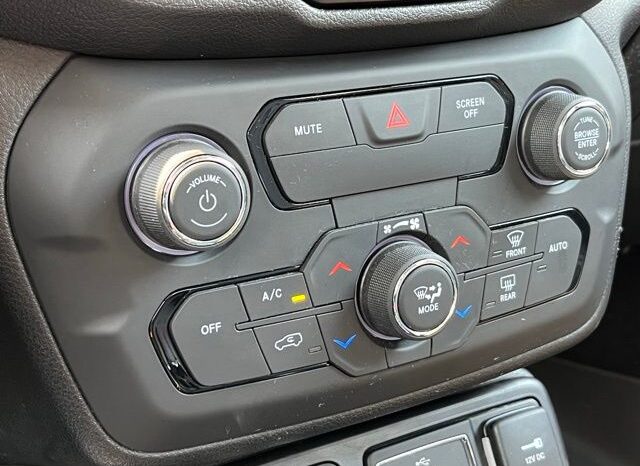 
 Jeep Renegade full									