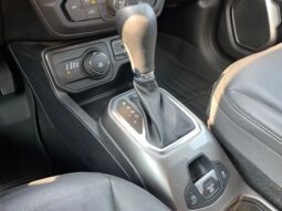 
 Jeep Renegade full									