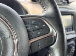 
 Jeep Renegade full									