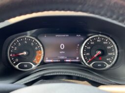 
 Jeep Renegade full									