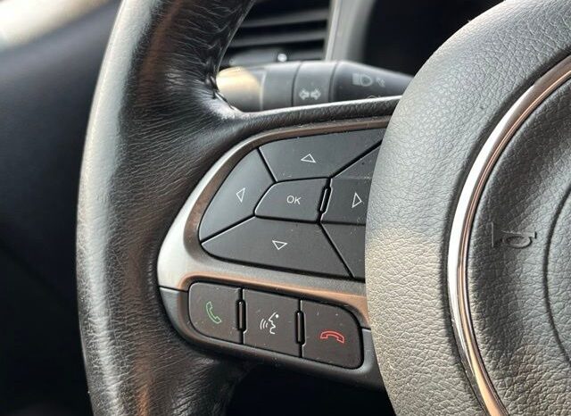 
 Jeep Renegade full									