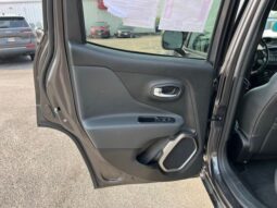 
 Jeep Renegade full									