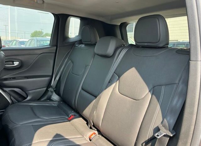 
 Jeep Renegade full									
