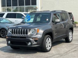 
 Jeep Renegade full									