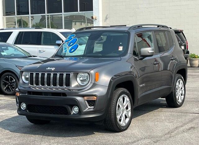 
 Jeep Renegade full									