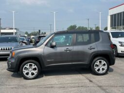 
 Jeep Renegade full									