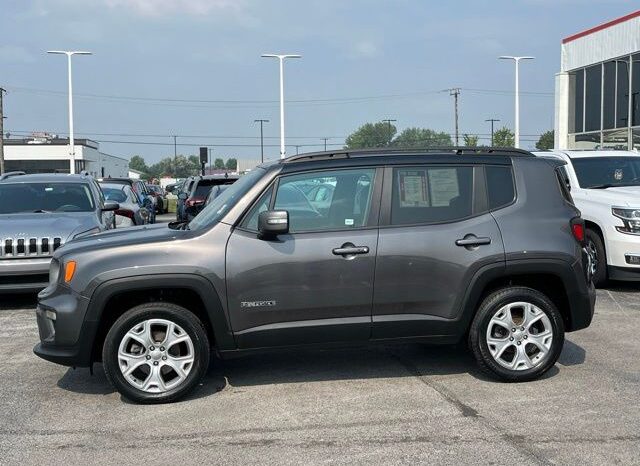 
 Jeep Renegade full									