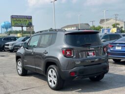 
 Jeep Renegade full									