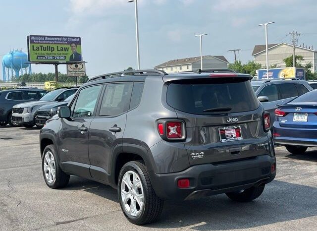 
 Jeep Renegade full									
