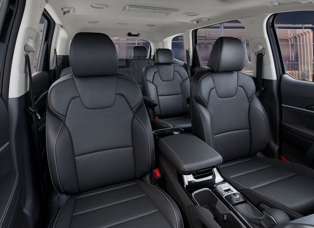 
 Kia Telluride full									