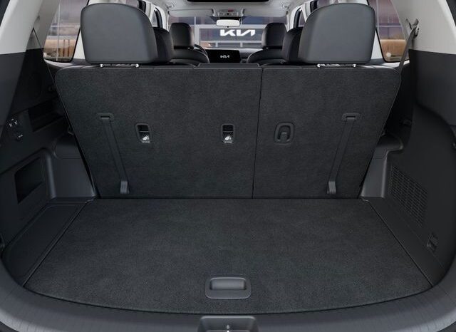 
 Kia Telluride full									