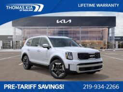 
 Kia Telluride full									