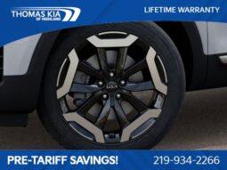 
 Kia Telluride full									