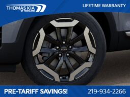 
 Kia Telluride full									