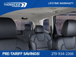 
 Kia Telluride full									