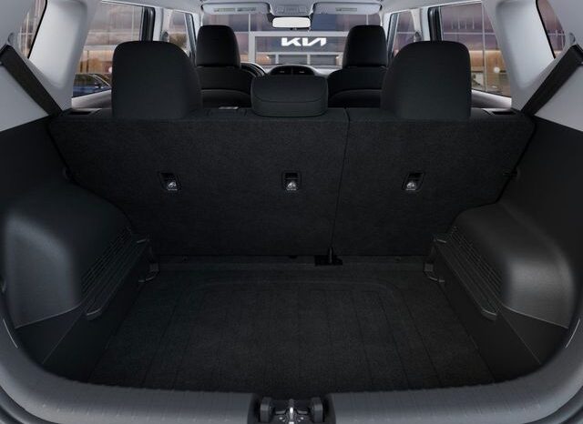
 Kia Soul full									