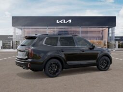 
 Kia Telluride full									