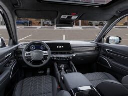 
 Kia Telluride full									