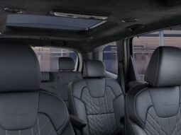 
 Kia Telluride full									