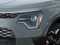 
 Kia Niro EV full									
