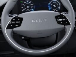 
 Kia Niro EV full									