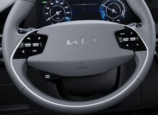 
 Kia Niro EV full									