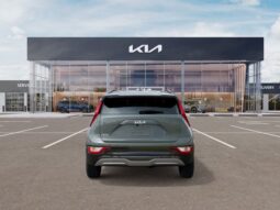 
 Kia Niro EV full									